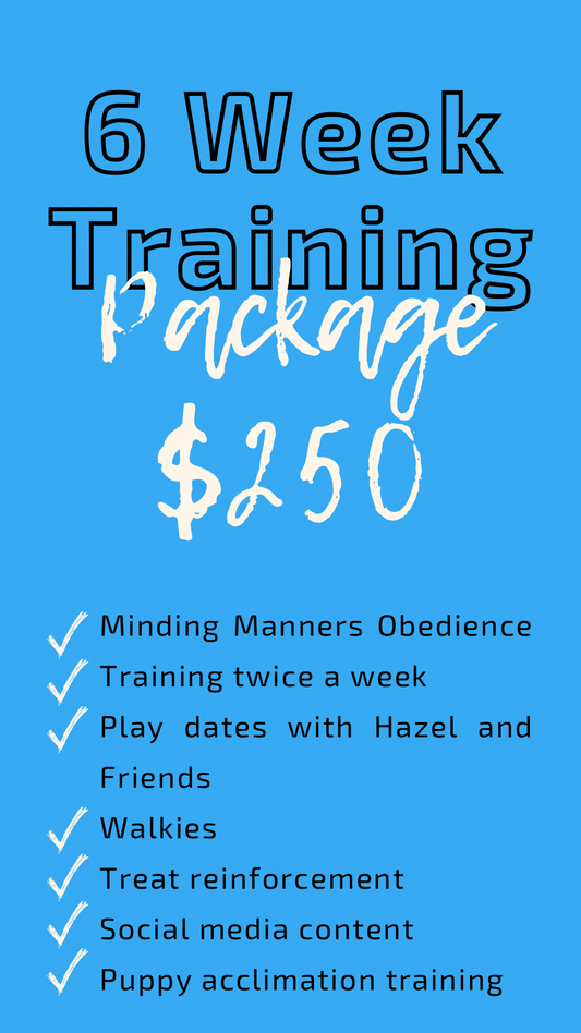 Training Packages