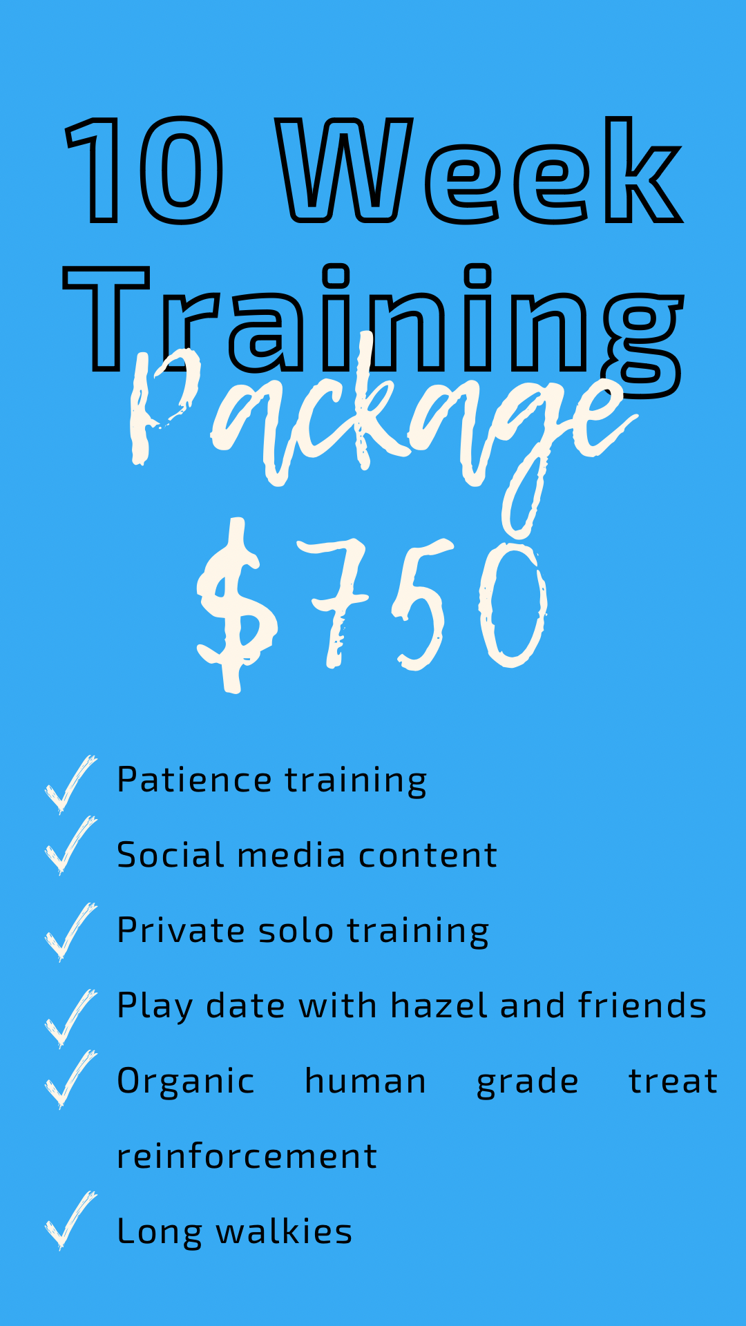 Training Packages