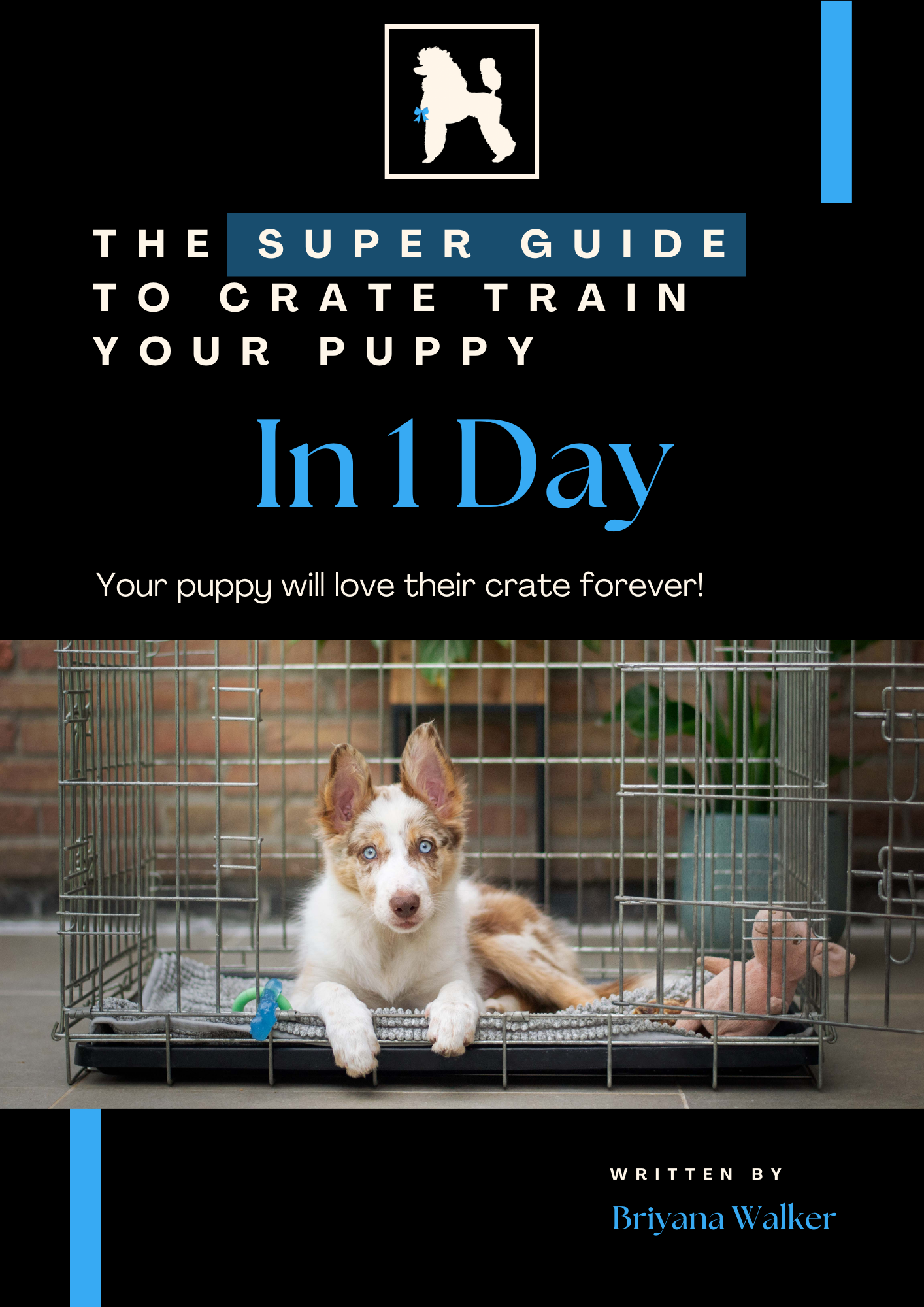 The Super Guide to Crate Training